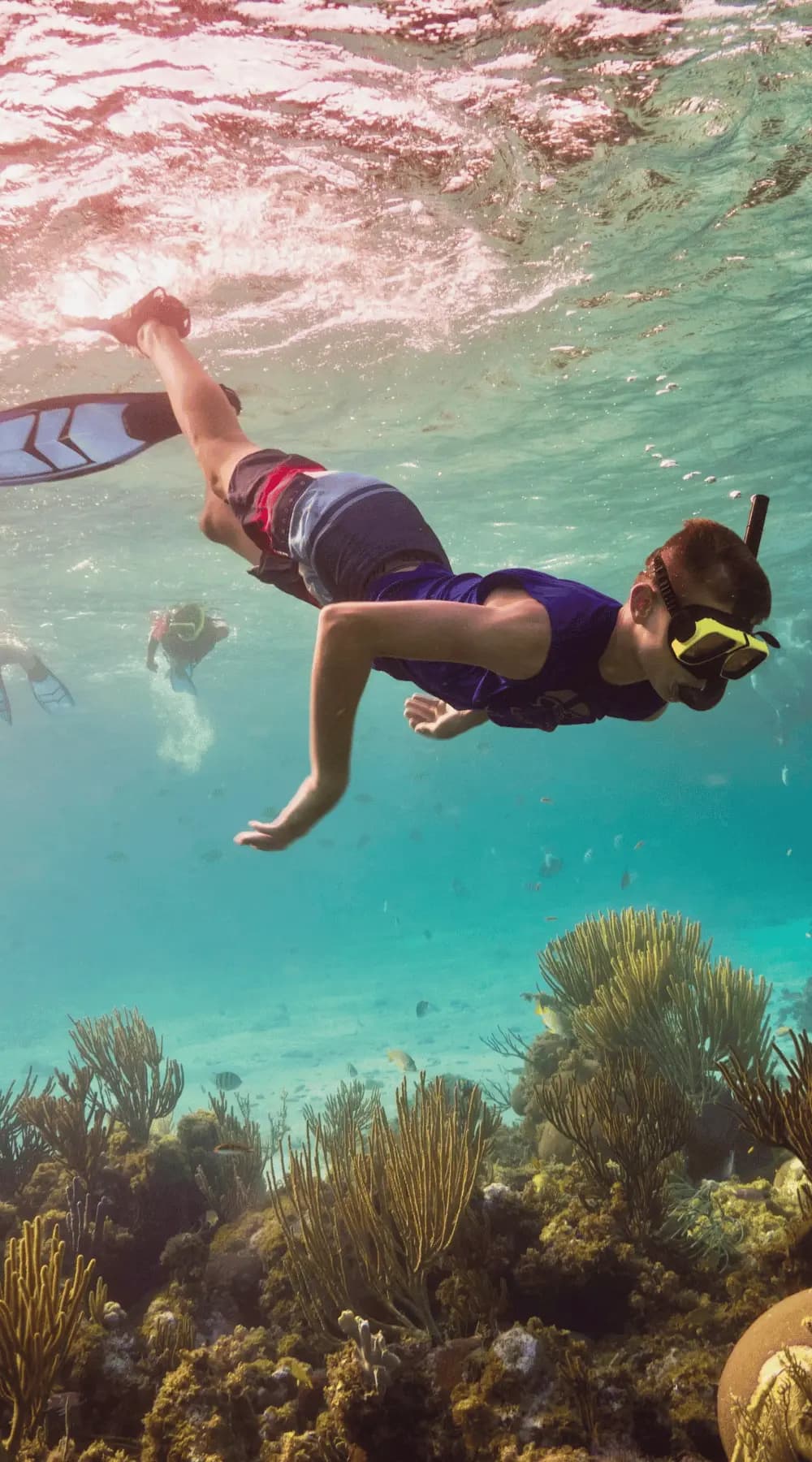Diving & Snorkelling