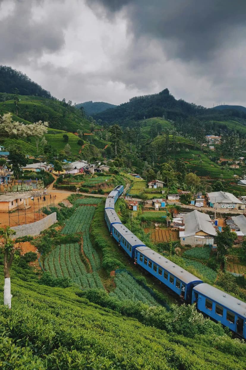 Exploring the tea plantations